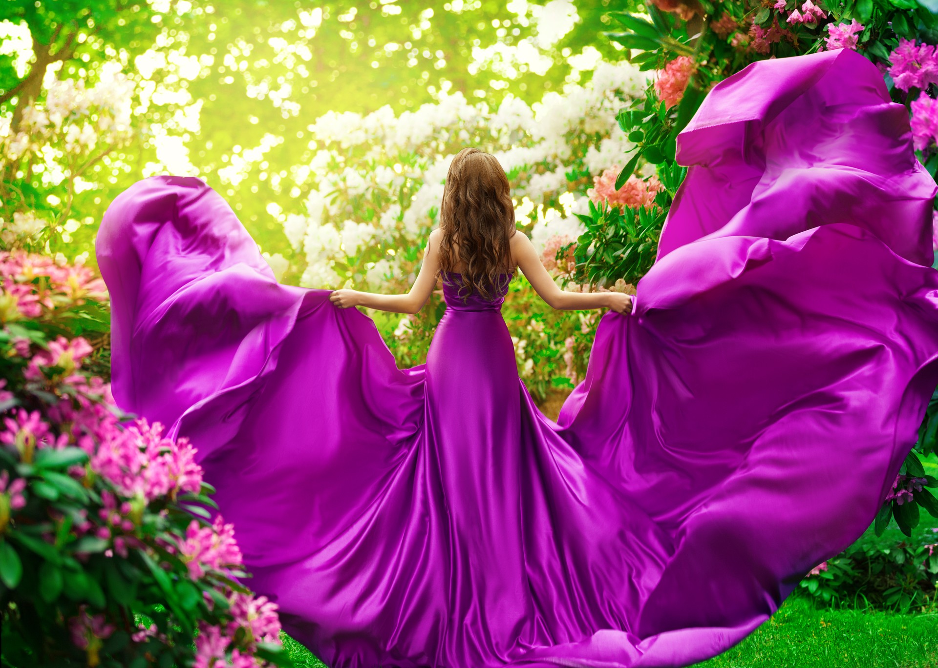 Fashion Woman in Purple Silk Dress Rear View in Spring Blossom Park. Elegant Model in Pink Satin Gown flying on Wind looking at Flower Garden. Beautiful Girl enjoying Summer Sunshine